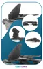 Aquarium Deko Steine Premium Schiefer Schwarz 1kg Produktbild-Vorschau 14