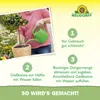 Neudorff  - Azet Zitrus- & MediterranpflanzenDünger 250 ml Produktbild-Vorschau 5