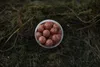 LK Baits boilie v dipu Fresh Boilie Restart Mussel 250ml Anteprima dell’immagine prodotto 3