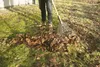 CAT Laub und Gras-Rechen 19 Zinken K-Serie Produktbild-Vorschau 3