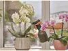 Gardena Tlakový Postřikovač 075 L 11110-20 Náhled obrázku produktu 26
