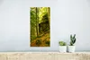 MuchoWow® Poster Bäume - Stein - Wald - Natur - Pflanzen Produktbild-Vorschau 5