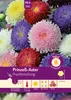Pabst Keimkraft - Prinzeß - Aster Prachtmischung Samen - Produktbild-Vorschau 1