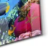 DEQORI Glasbild Echtglas 100x50 cm 'Lebensraum Produktbild-Vorschau 5