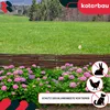 KOTARBAU® Staccionata in Legno per Giardino Recinzione in Anteprima dell’immagine prodotto 4