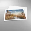 Poster - Poster ohne Rahmen - Ähren Küste Sonne - 70x50 cm Produktbild-Vorschau 3