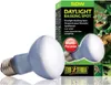 Ampoule EXO TERRA Daylight Basking Spot 50 W Voir les images du produit 1