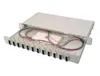DIGITUS LWL Spleißbox 1HE bestückt 12x SC DX OM3 grau Produktbild-Vorschau 2
