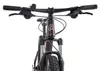 Axess DOREE Damen-Mountainbike Hardtail 29 Zoll Kupfer 17 Produktbild-Vorschau 3