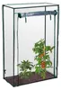 Tomatengewächshaus 150x100x50cm, Foliengewächshaus Stahl Produktbild-Vorschau 6