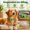 2 Pcs Hunde Zeckenhalsband  für Hunde bei Spaziergang & Produktbild-Vorschau 6