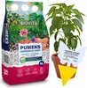 Vulkanischer Blähton - 5l - Natur - Luftdurchlässig - Ideal Produktbild-Vorschau 1
