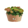 Pflanzgefäß / Pflanzschale elho Green Basics Ø 33cm H 14cm Produktbild-Vorschau 7