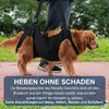 A person is walking a dog outdoors, using a black mobility harness to support the dog. Produktbild-Vorschau