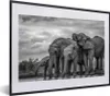 MuchoWow® MuchoWow® Gerahmtes Poster Elefant - Tiere - Produktbild-Vorschau 1