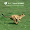 Wildkamera mit zwei Objektiven, 36 MP, 4K, Produktbild-Vorschau 7