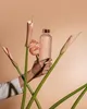 Nesúlad Bloom Náhľad obrázku produktu 6