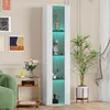 multifunktionale Vitrine, Glastrennwand, LED-Farbwechsel Produktbild-Vorschau 3