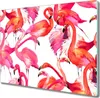 Coloray Herdabdeckplatte 60x52 cm Schneidebrett Produktbild-Vorschau 1