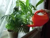 BAUSTER® Blumengießkanne 2L Gießkanne Gartengießkanne Produktbild-Vorschau 4