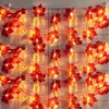 Guirlande lumineuse d'Halloween avec citrouille Feuille Voir les images du produit 10