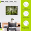 ARTland Wandbild Alu für Innen & Outdoor Wald im Gegenlicht Produktbild-Vorschau 3