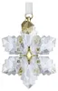 Swarovski 3D Ornament Neuheit 2026 5731941 Produktbild-Vorschau 4