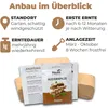 Hawlik Pilzbrut Austernpilz Pilzbeet-Set – Pilzzucht Produktbild-Vorschau 2