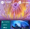 Philips 43PUS8500/12, 109,2 cm (43"), 3840 x 2160 Pixel, Produktbild-Vorschau 5