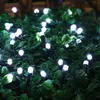 A close-up shot of white LED string lights embedded in lush green foliage, possibly a garden or hedge, with water droplets visible on the leaves. Produktbild-Vorschau
