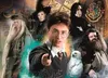 CLE puzzle 500 Compact HarryPotter 35534 Voir les images du produit 8
