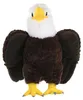 Wild Republic - Peluche - Cuddlekins -  Aquila calva Anteprima dell’immagine prodotto 3