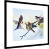 MuchoWow® Gerahmtes Poster Juvenile Rauchschwalben 40x40 cm Produktbild-Vorschau 1