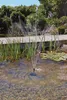 Pompe de bassin Pontec PondoVario 1500 avec jeu d'eau Voir les images du produit 8