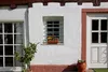 Alberts Fenstergitter Secorino Basic | Ausziehbar für Produktbild-Vorschau 2
