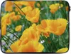 MuchoWow® Laptop Hülle 17 Zoll Laptoptasche Blumen - Garten Produktbild-Vorschau 1