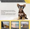 Hundebrille für kleine Hunde UV-Schutz Hundesonnenbrille Produktbild-Vorschau 5