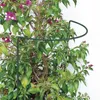 Support pour plantes vivaces hauteur 70 cm - support pour Voir les images du produit 11