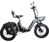 Remington R100 E Bike Dreirad 20 Zoll Elektrodreirad Produktbild-Vorschau 10