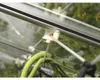 A close-up view of a plant support system inside a greenhouse. Náhled obrázku produktu