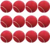 12 confezioni di palline da tennis per la regolazione della Anteprima dell’immagine prodotto 1