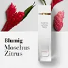 Elizabeth Arden White Tea Ginger Lily EDT 30 ml W Produktbild-Vorschau 8
