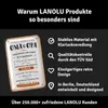 LANOLU Retro Blechschild Geschenk für Oma und Opa Pension Produktbild-Vorschau 9