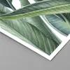 Poster - Poster ohne Rahmen - Exotisch Blätter Grün - 50x70 Produktbild-Vorschau 2