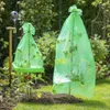 Tomaten Folien-Reifehaube 5 Stück Produktbild-Vorschau 2