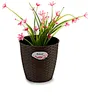 Blumentopf Stefanplast Kunststoff Schokolade 19 x 17,5 x 19 Produktbild-Vorschau 4
