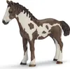 Schleich 13695 Roční pinto Náhled obrázku produktu 1