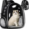 A cat is inside a transparent pet carrier backpack. Voir les images du produit
