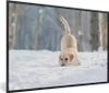 MuchoWow® Gerahmtes Poster Blick auf einen Labradorhund, Produktbild-Vorschau 1