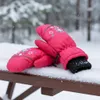 Handschuhe Kinder, Einfinger-Skihandschuhe, Warm, Produktbild-Vorschau 2
